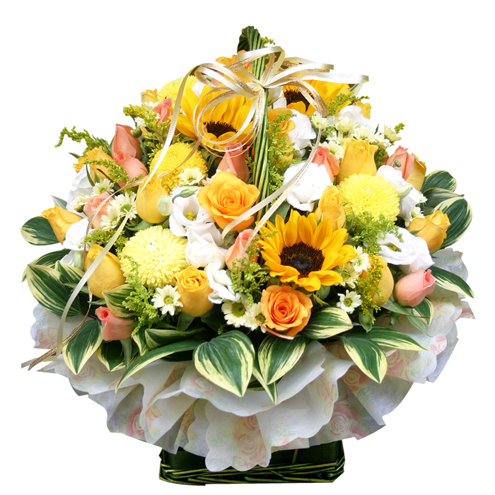 b8821d6bba1e9248cc2466acef3c2af6_1515547661_9148.jpg