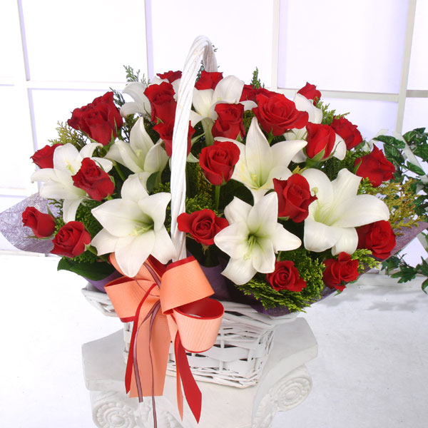 b8821d6bba1e9248cc2466acef3c2af6_1515547688_6365.jpg