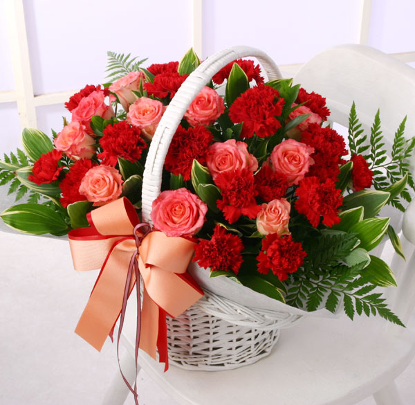 b8821d6bba1e9248cc2466acef3c2af6_1515547717_48.jpg