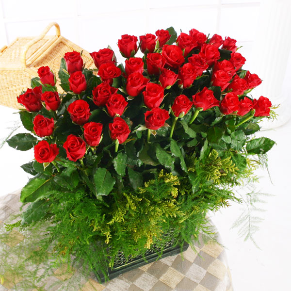 b8821d6bba1e9248cc2466acef3c2af6_1515547963_4009.jpg