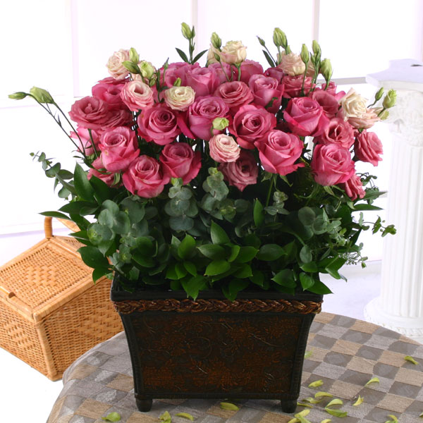 b8821d6bba1e9248cc2466acef3c2af6_1515547988_3328.jpg