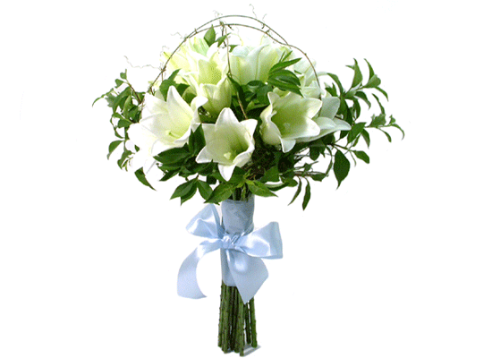 b8821d6bba1e9248cc2466acef3c2af6_1515548798_6411.gif